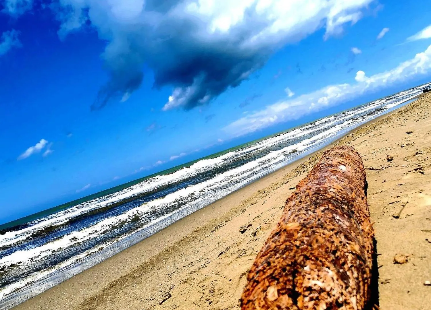Essenza Del Mare Home Livorno 0*,  Italy